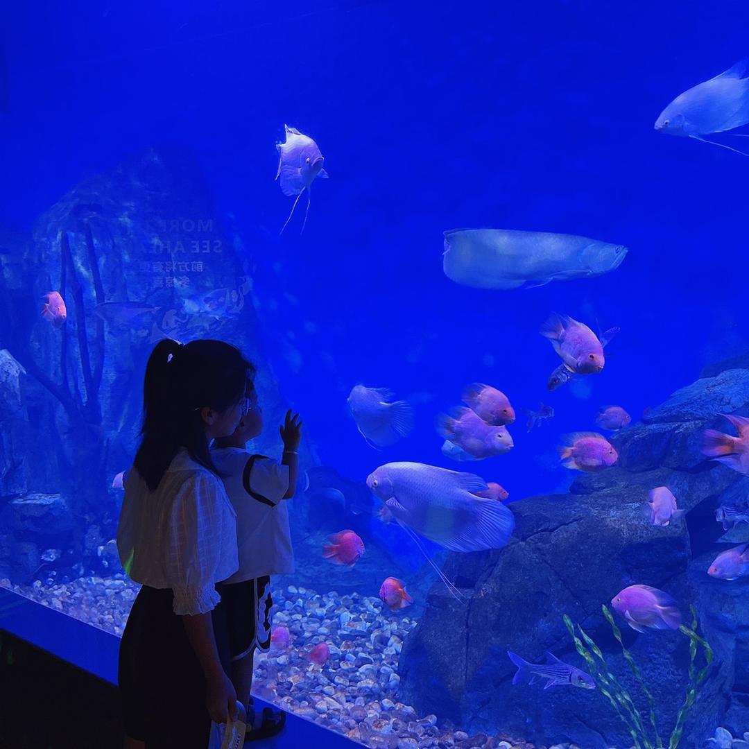 ᰔᩚᯓ棋宝麻麻༉ᩚ᭄