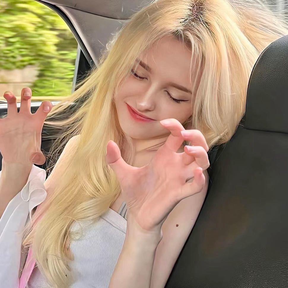 zizi