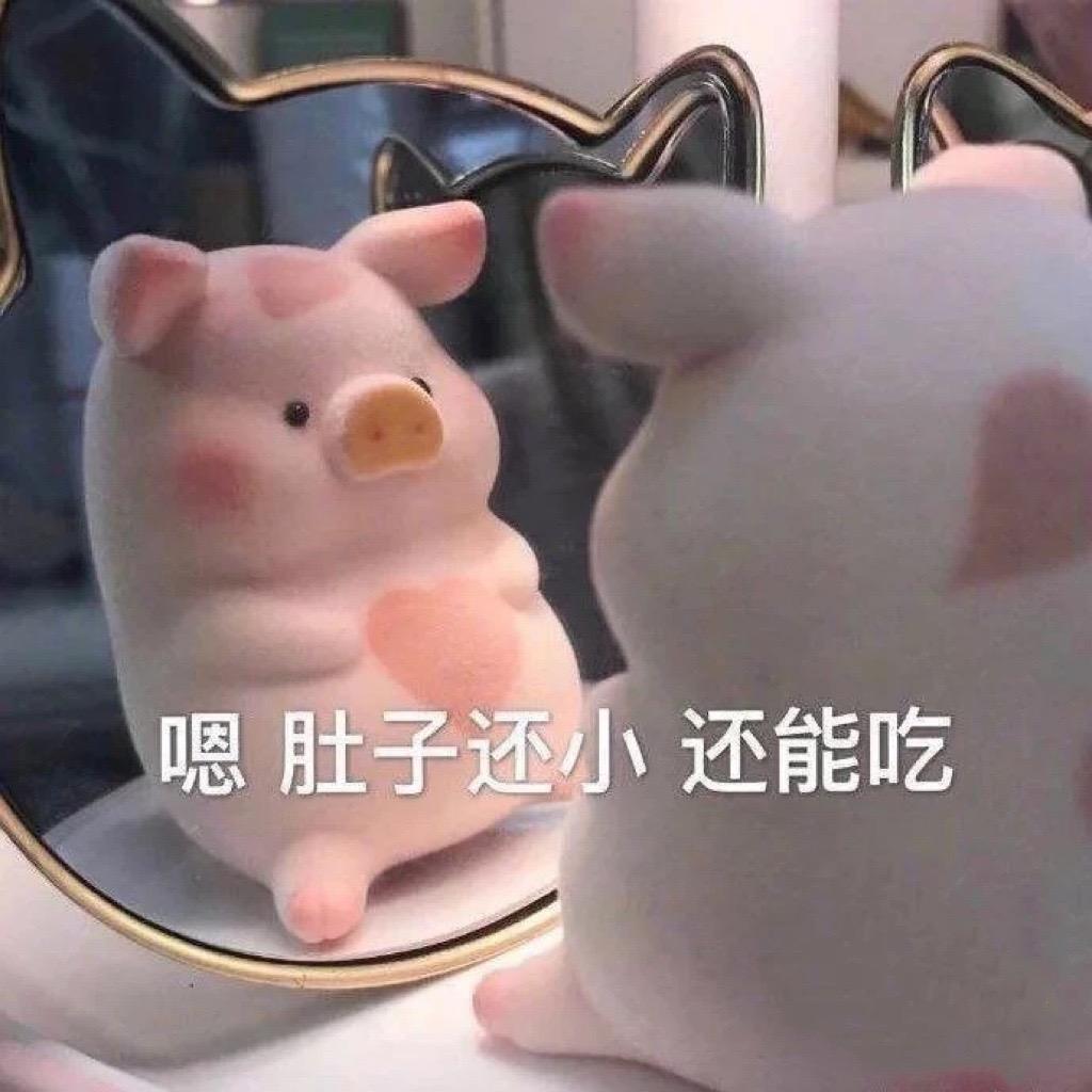 睡饱吃不饱ᥫᩣ༠°