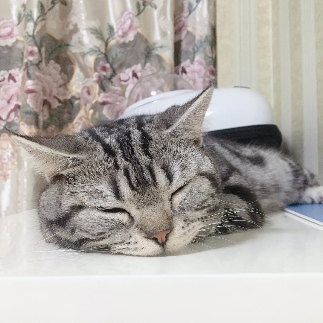 李新年💭