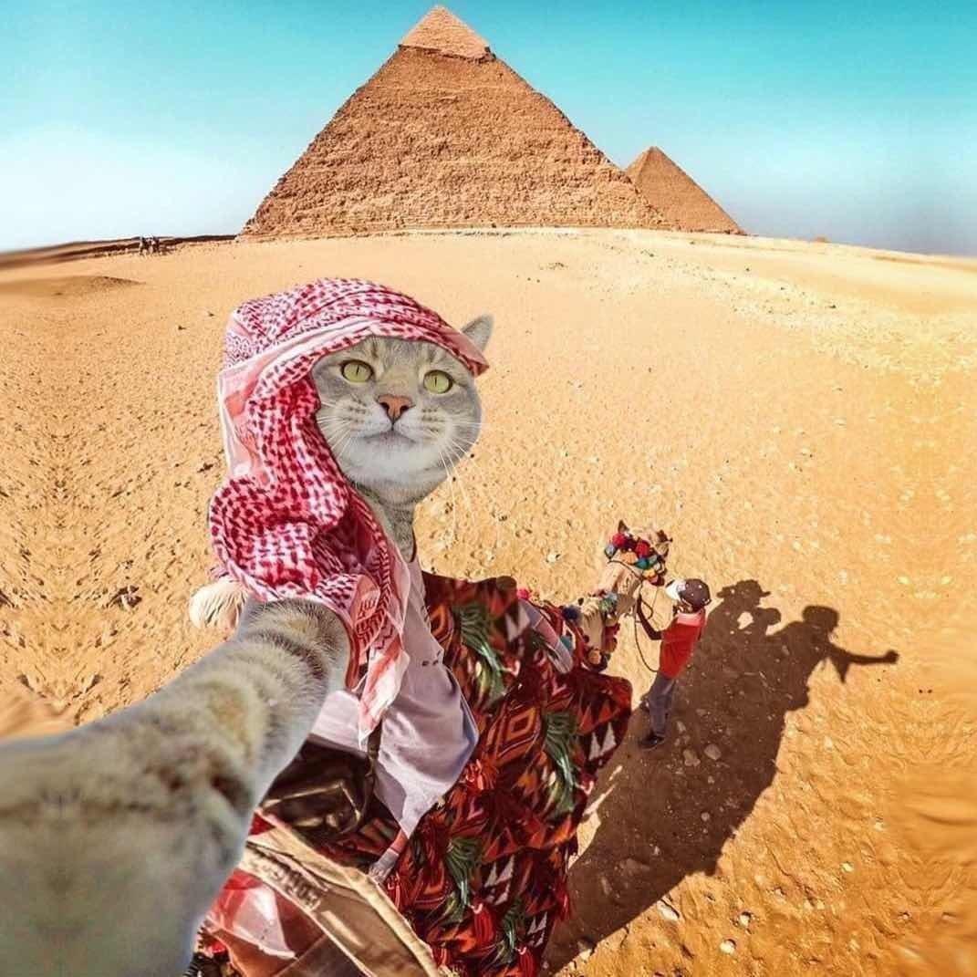 薄暮微凉