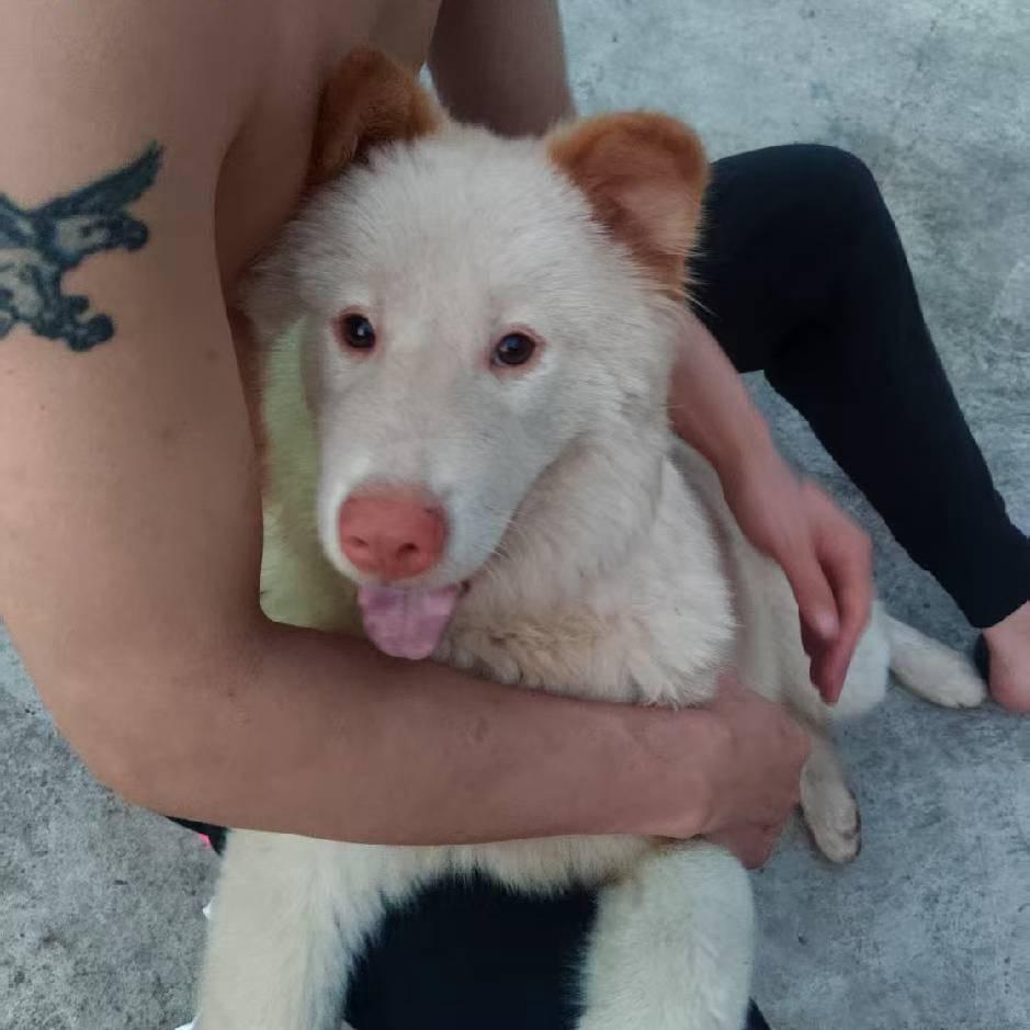小人物