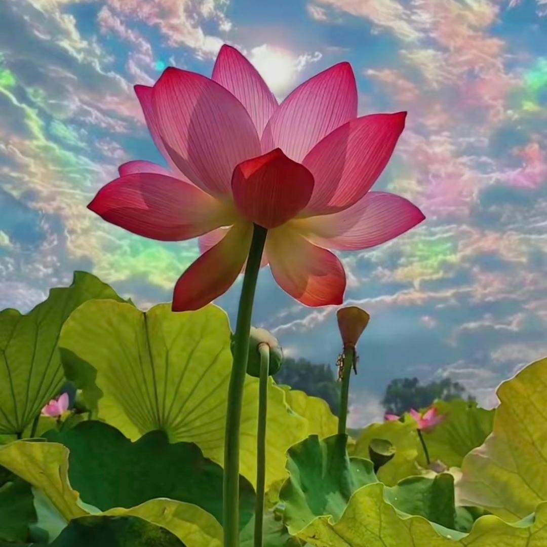 馨馨💕