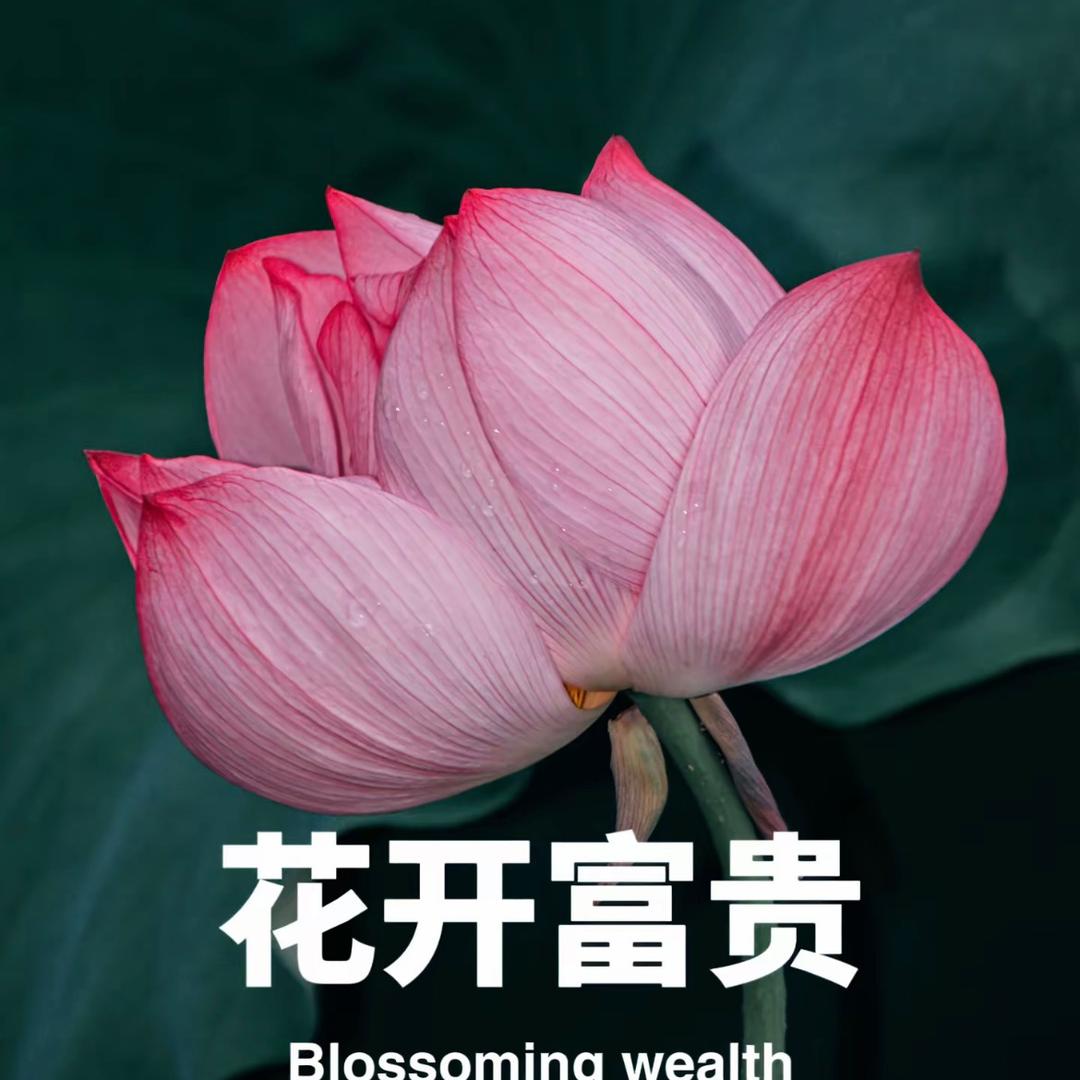 LED显示屏（攸特光（上海）电子科技）