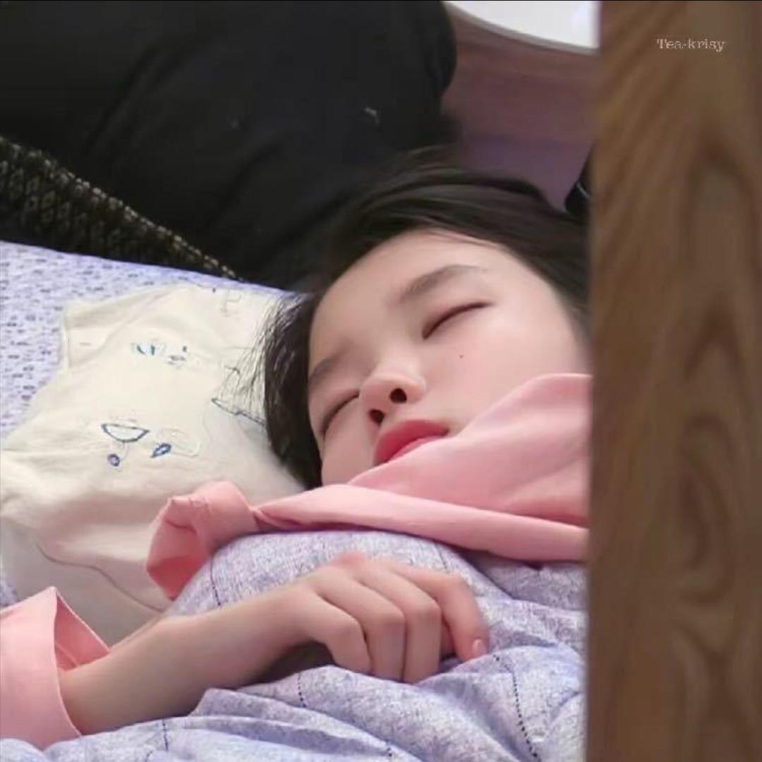 崽崽（三角洲行动）