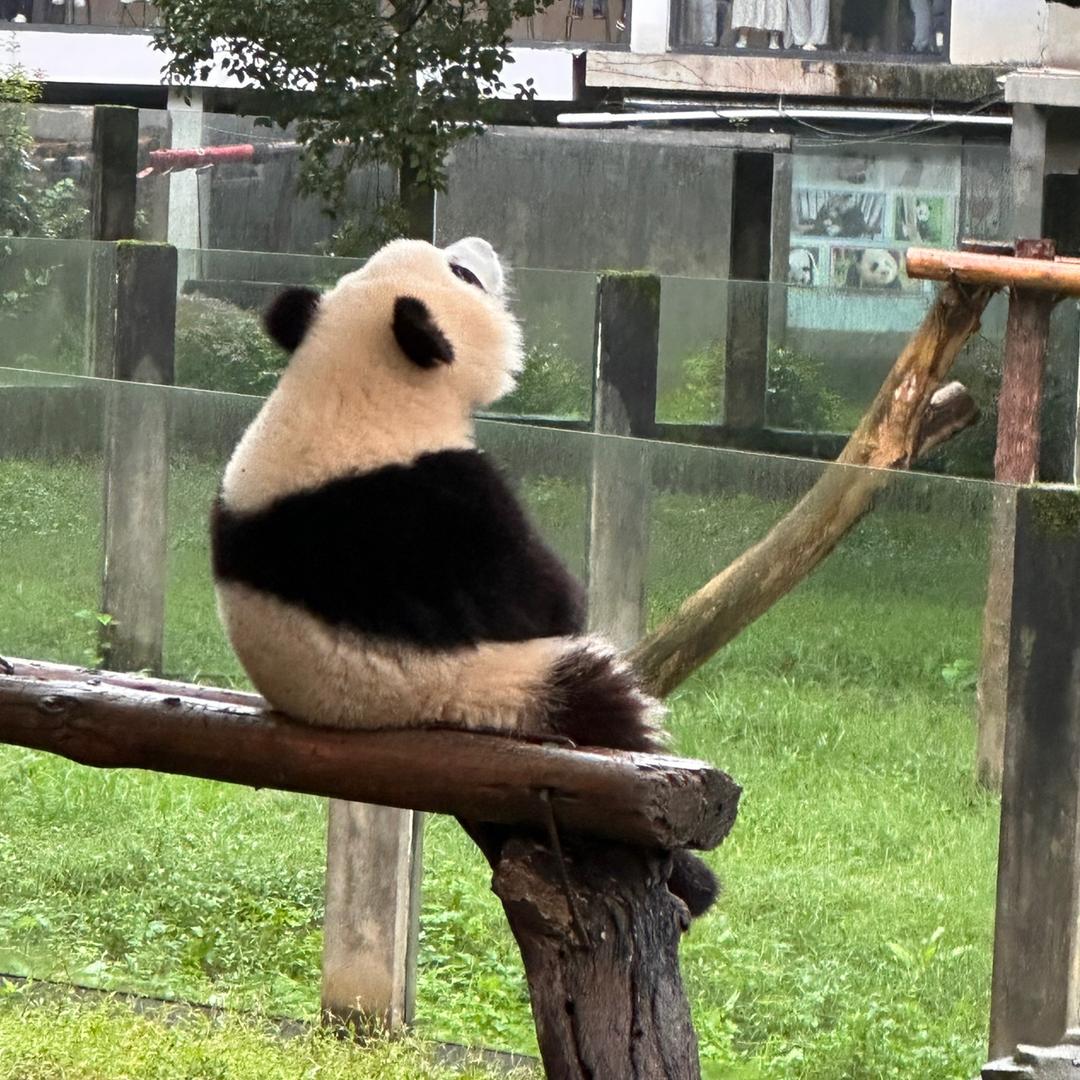 鹤鸣闻于野