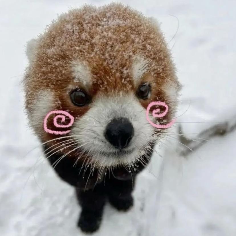 书不尽风雪千山（被限流版）