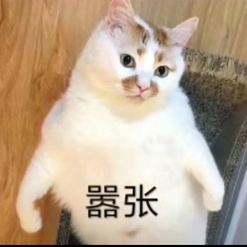梅狸猫🐱