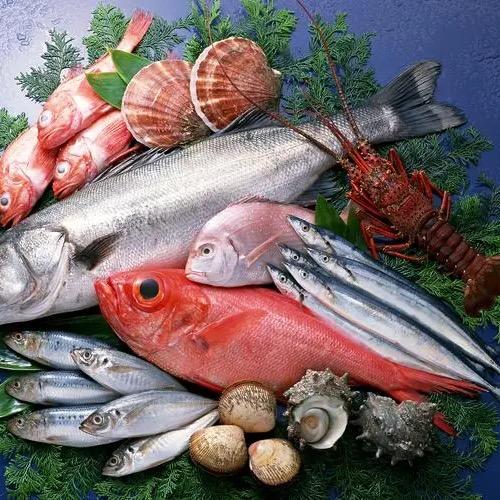 彭哥海鲜全球海货