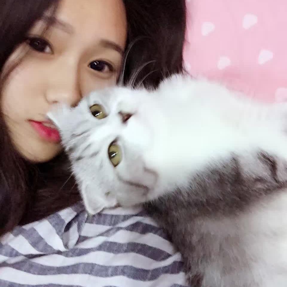 森森啊🍄