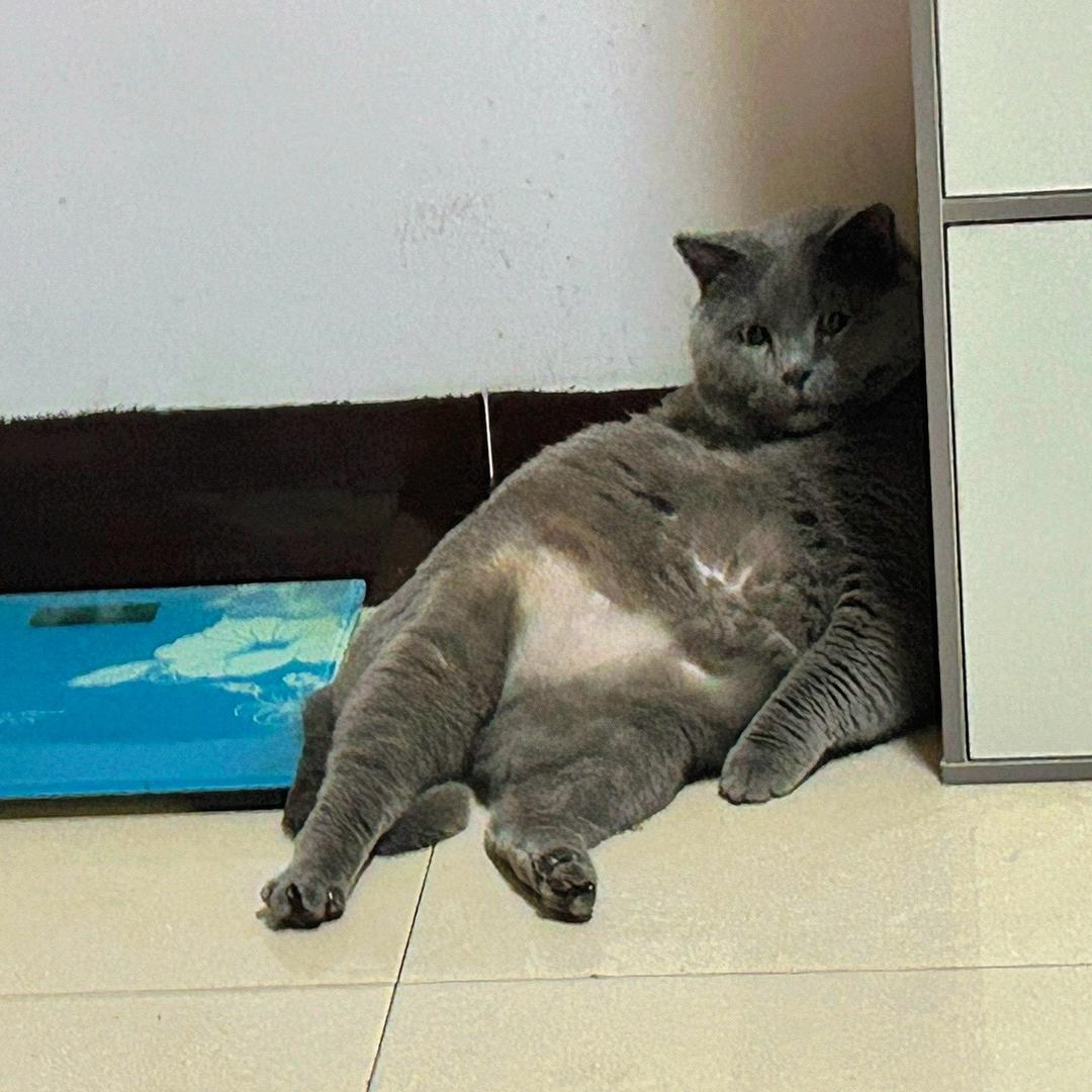 𓆡𓆝𓆟𓆜𓆞𓆝𓆟𓆡