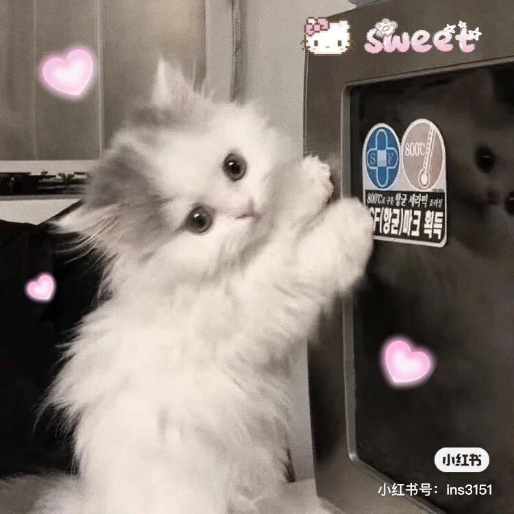 一种老谋深画画不明白的感觉（沐是水印）