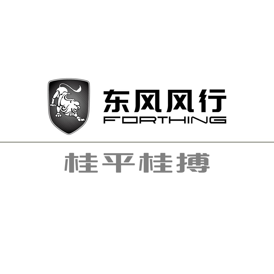 桂平东风风行4S店