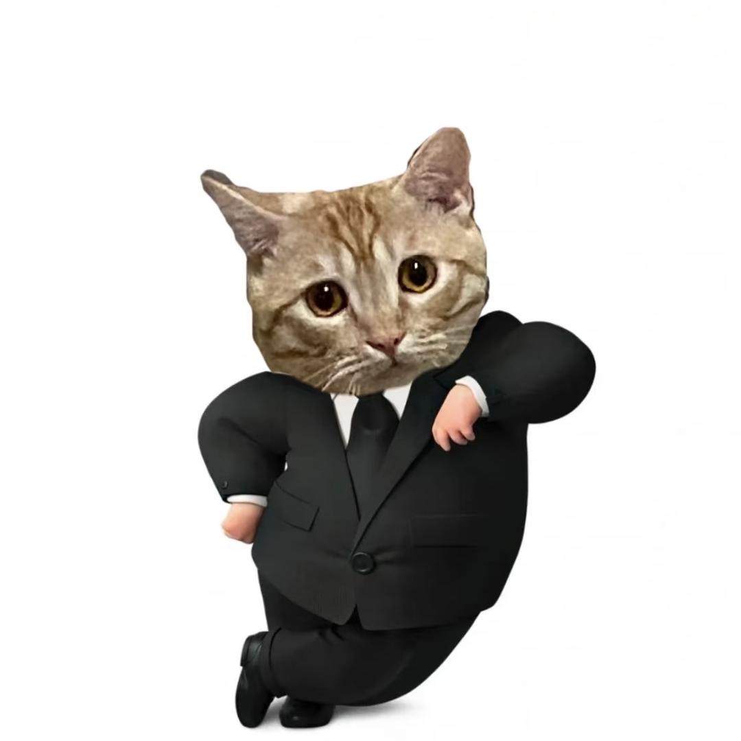 生活探险家韦老师