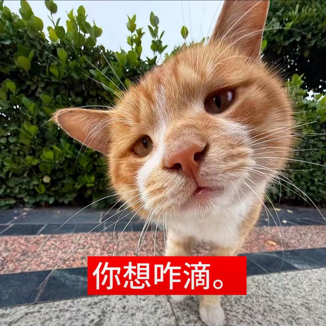 🫐蓝莓大王🫐