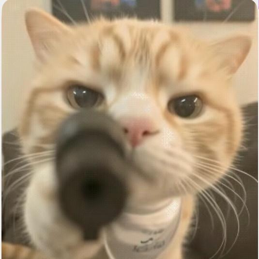 爱原来是需要经营的