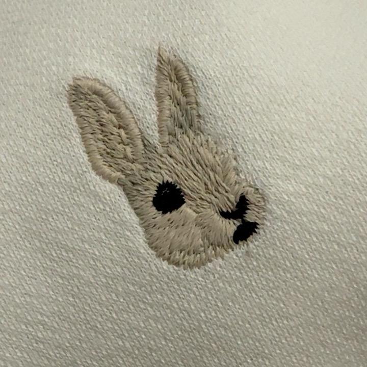 鲸言