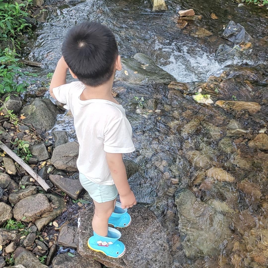 南有木1000粉计划(互)