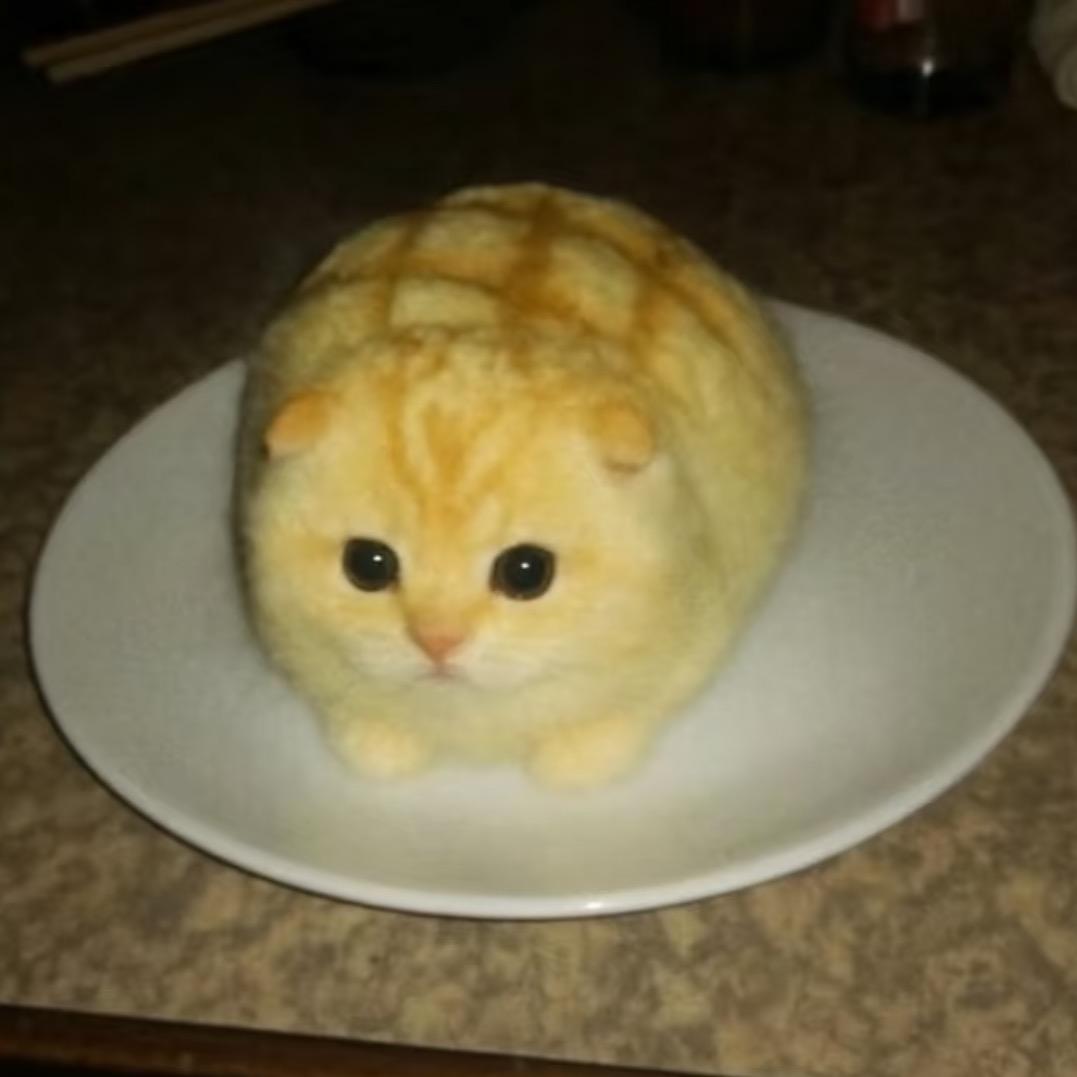 doki的圆圆