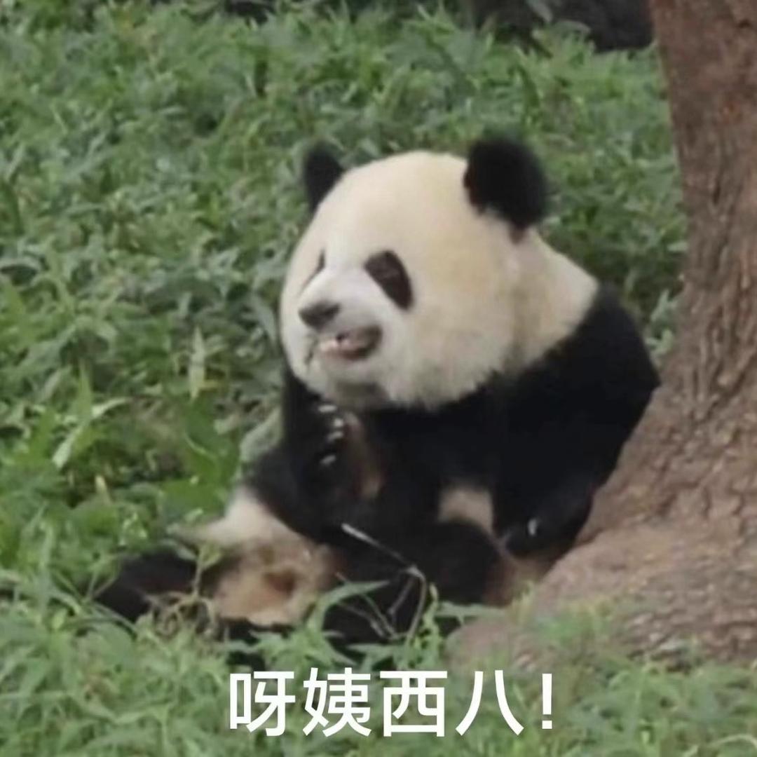 渝爱口语