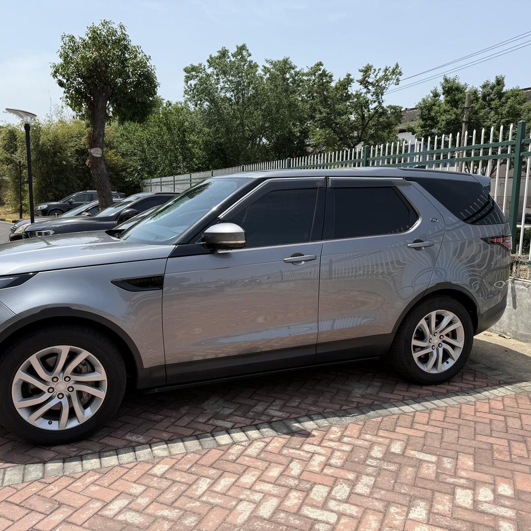 天空中的雄鹰🦅