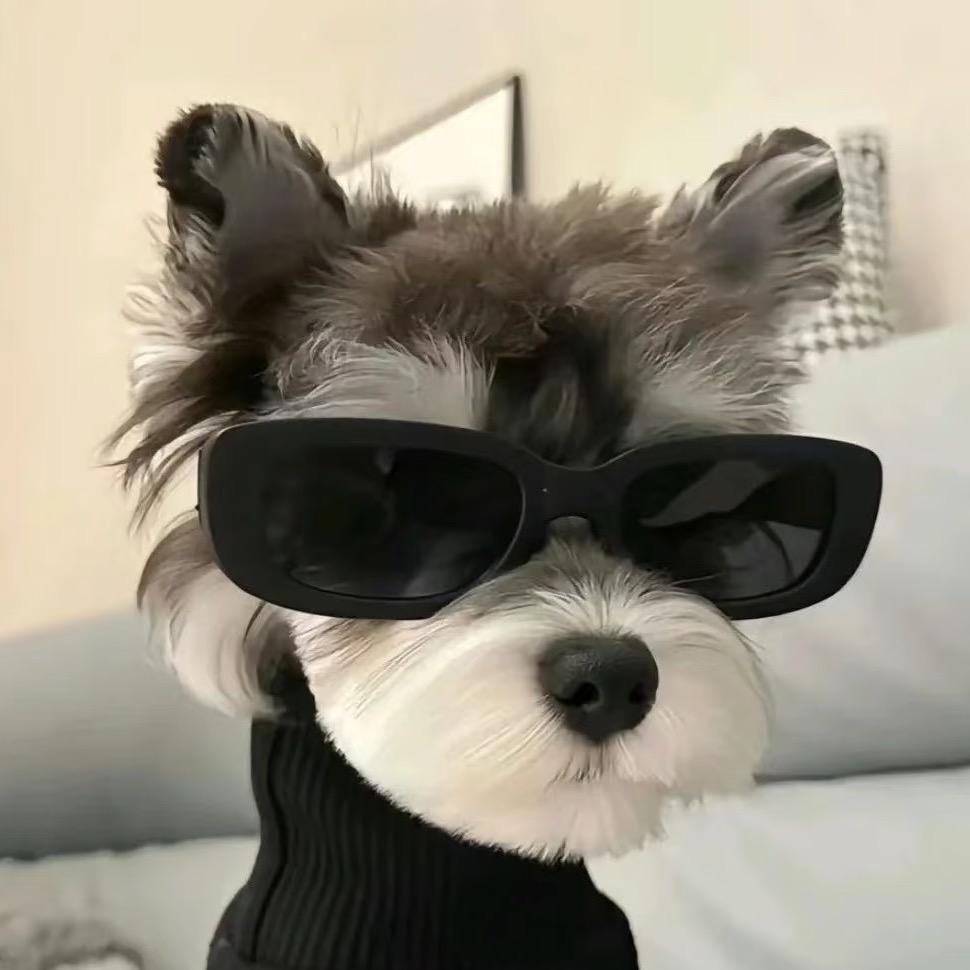 班主任