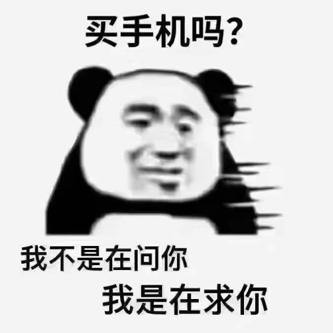 腾冲小菊