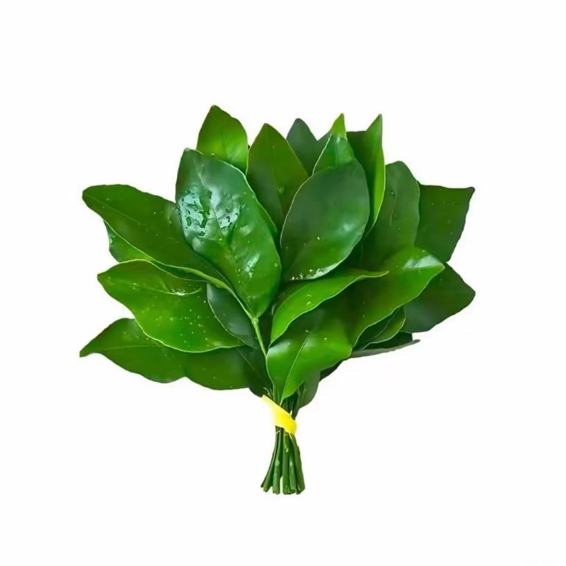 跟愚蠢的人没法沟通