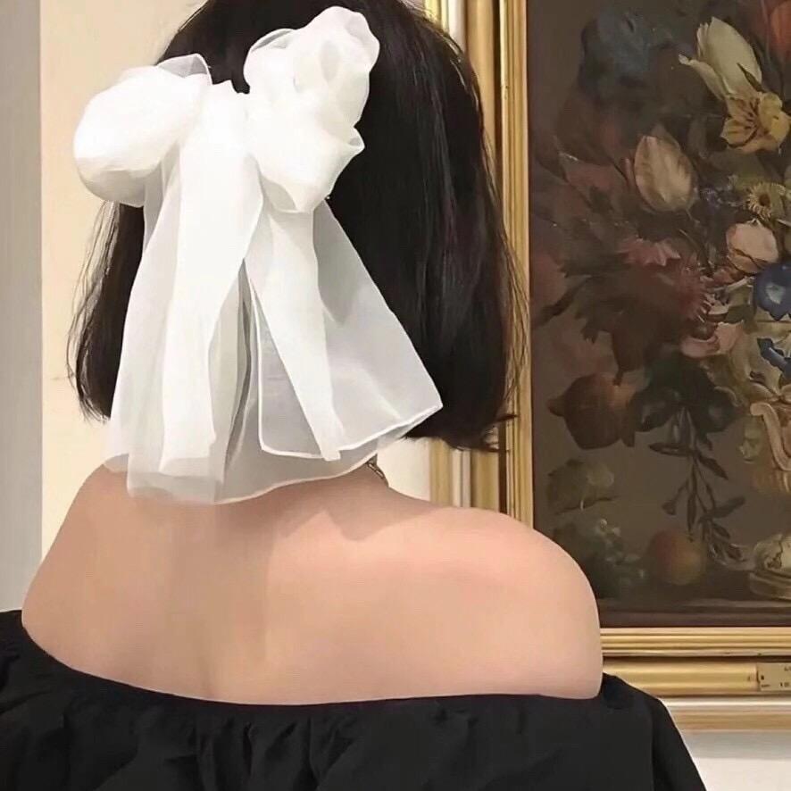 ♥️♥️♥️姬爱