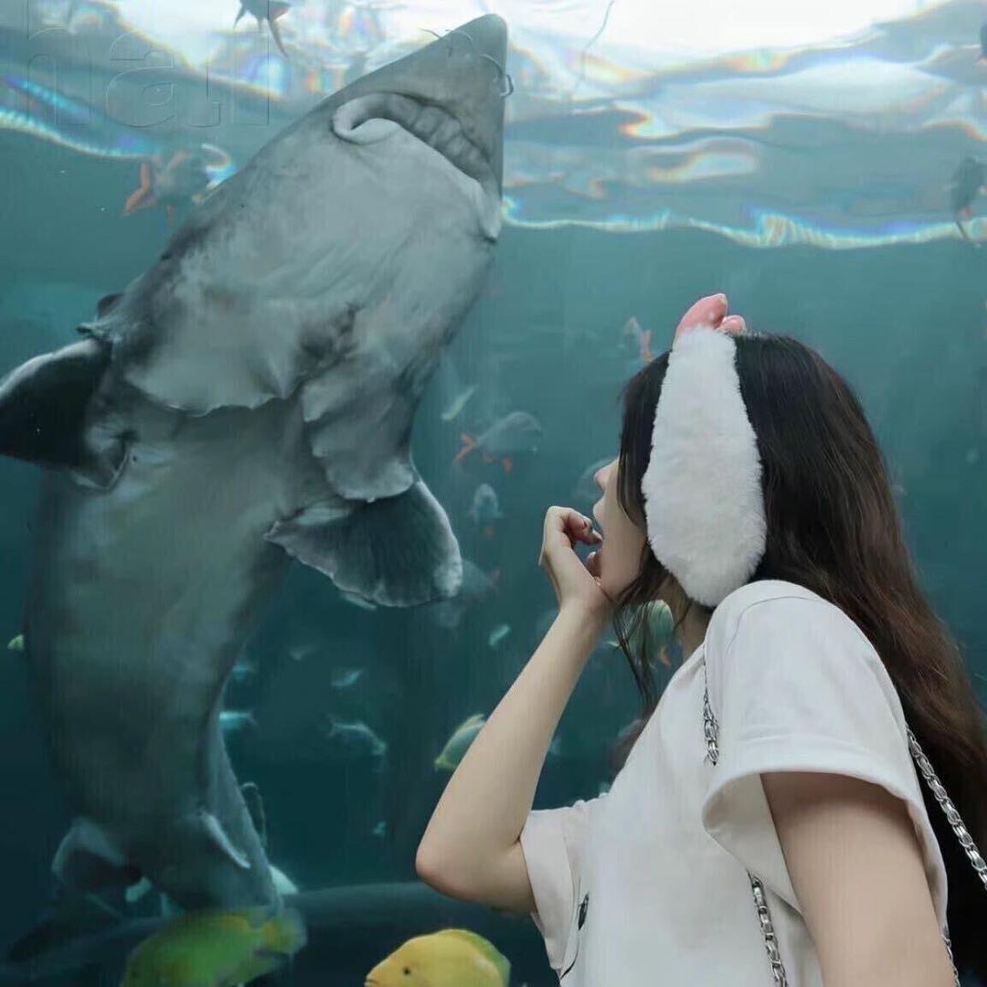 魚儿犯困啦🦋