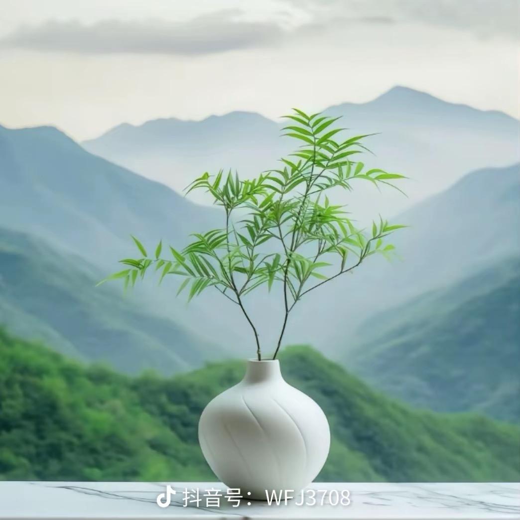 二小姐