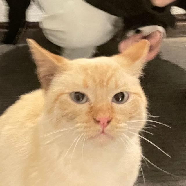qqq