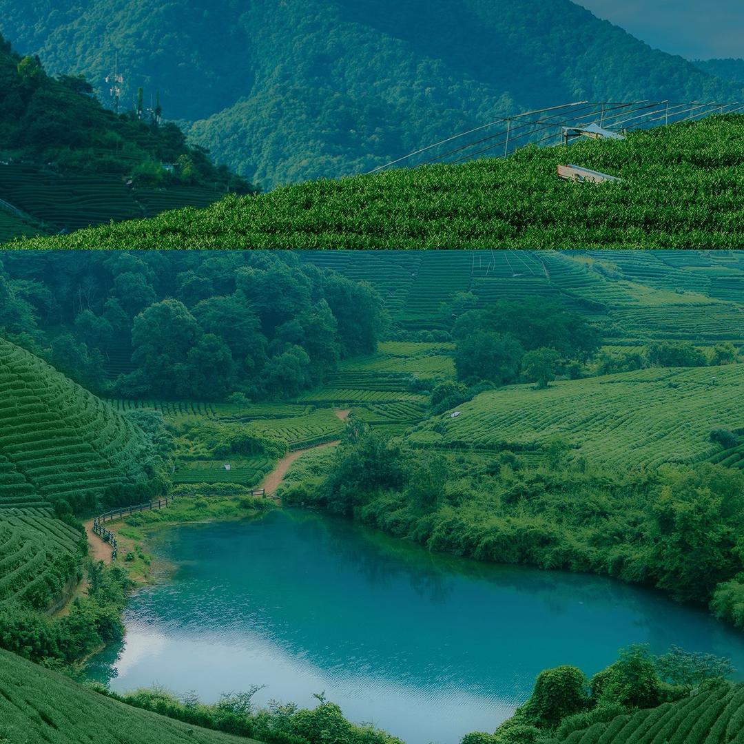 知梦
