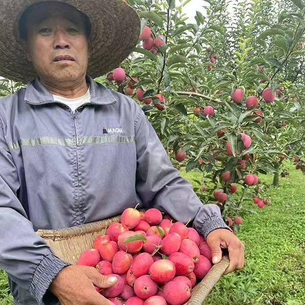 东北生鲜农村合作社