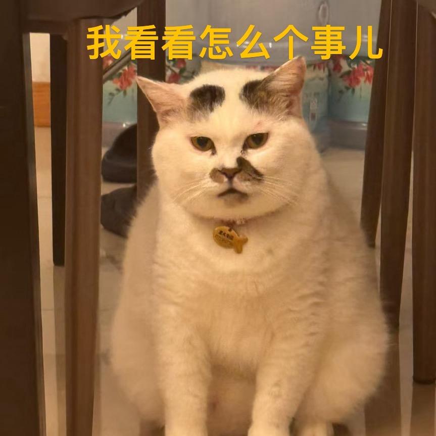 尹阿山
