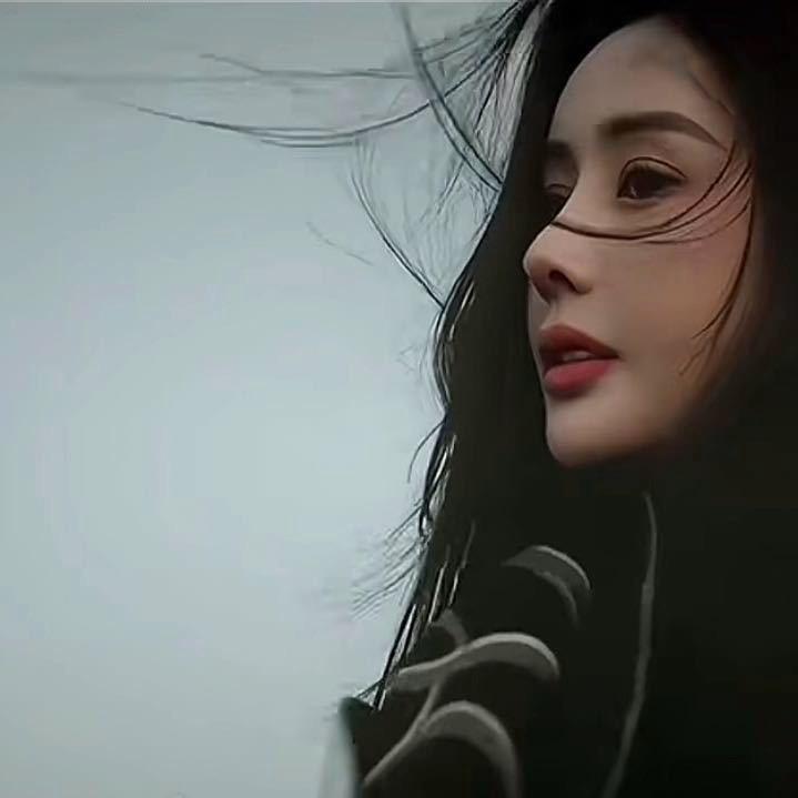 杨怼怼