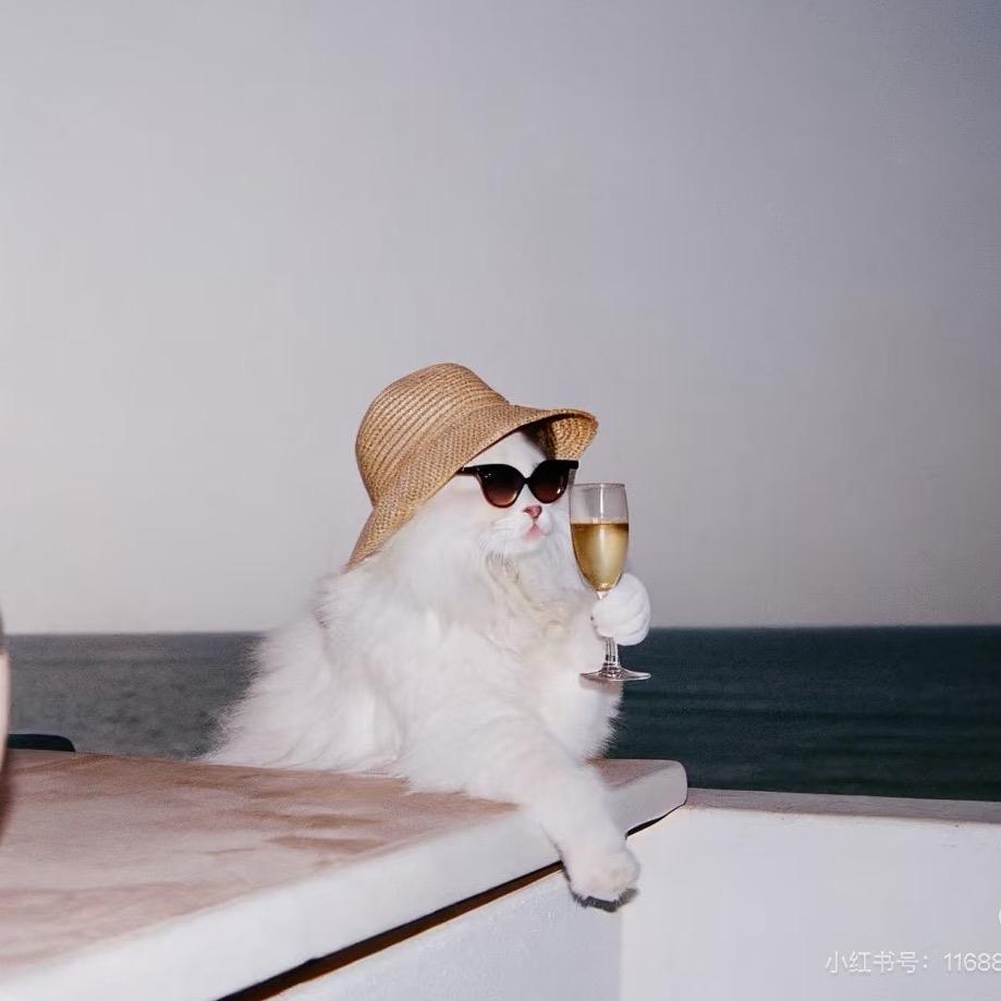 小喵的日记本📔