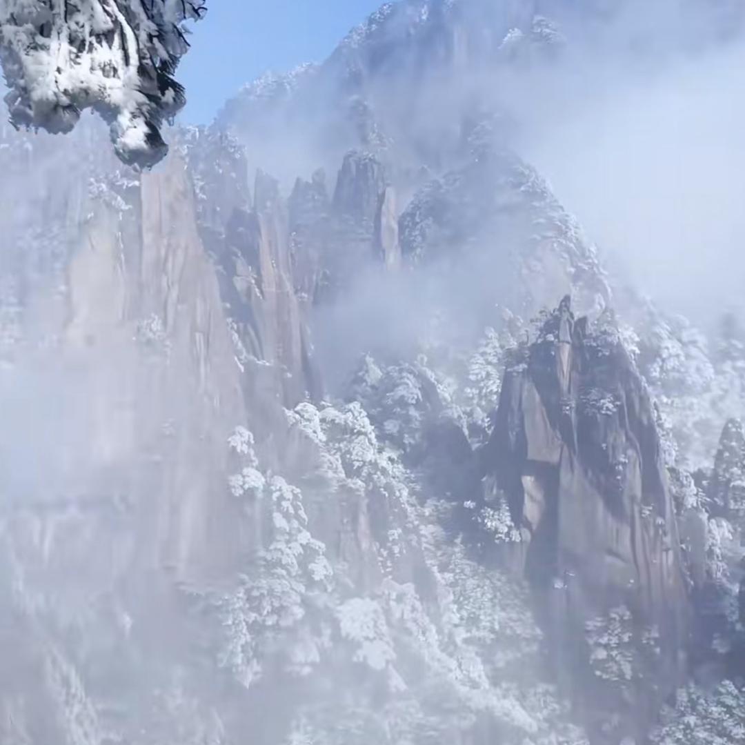 Y温粥煮月👍🔥