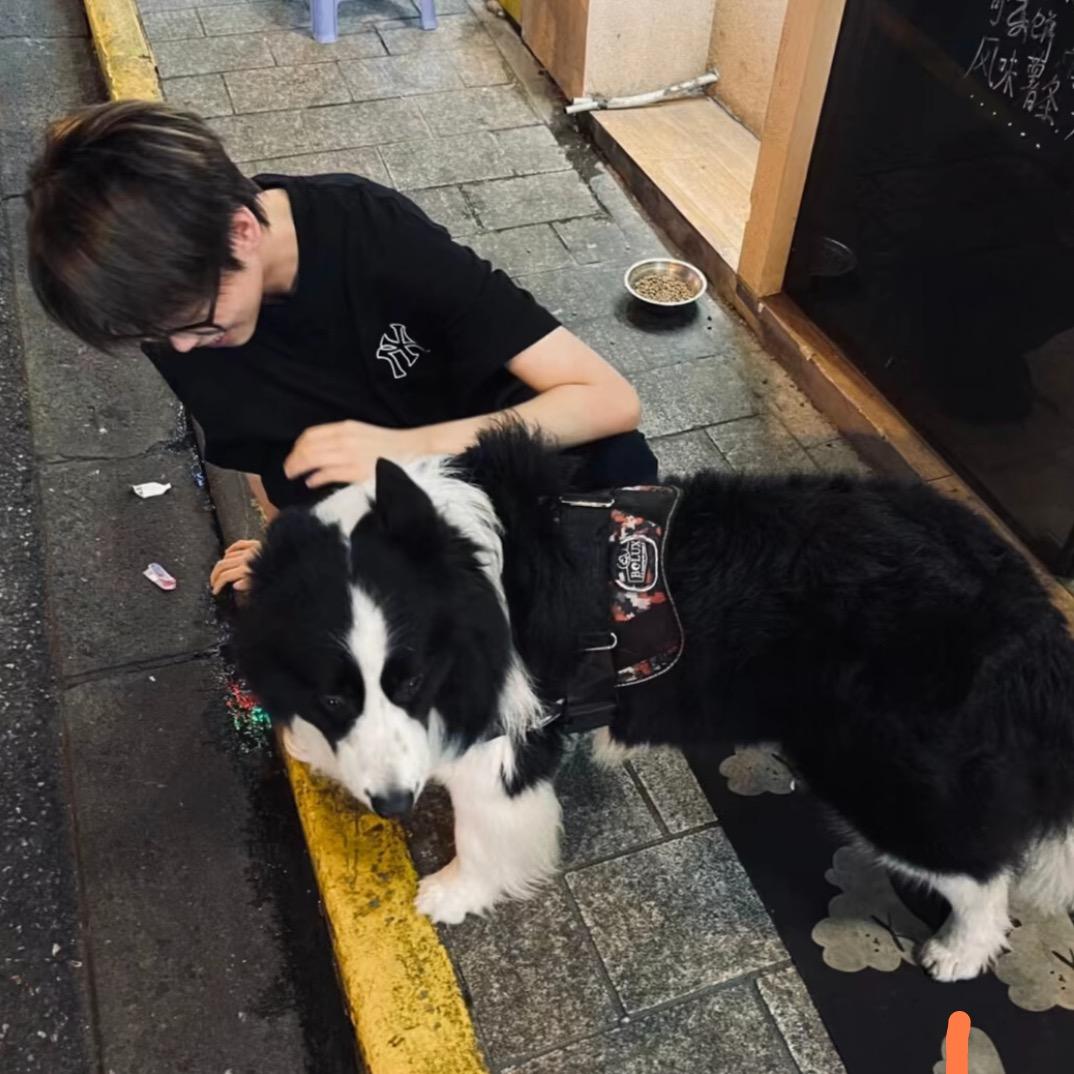 不当舔狗