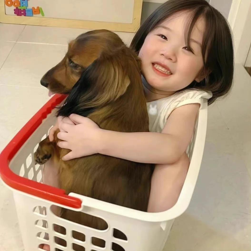 不吃菠萝包
