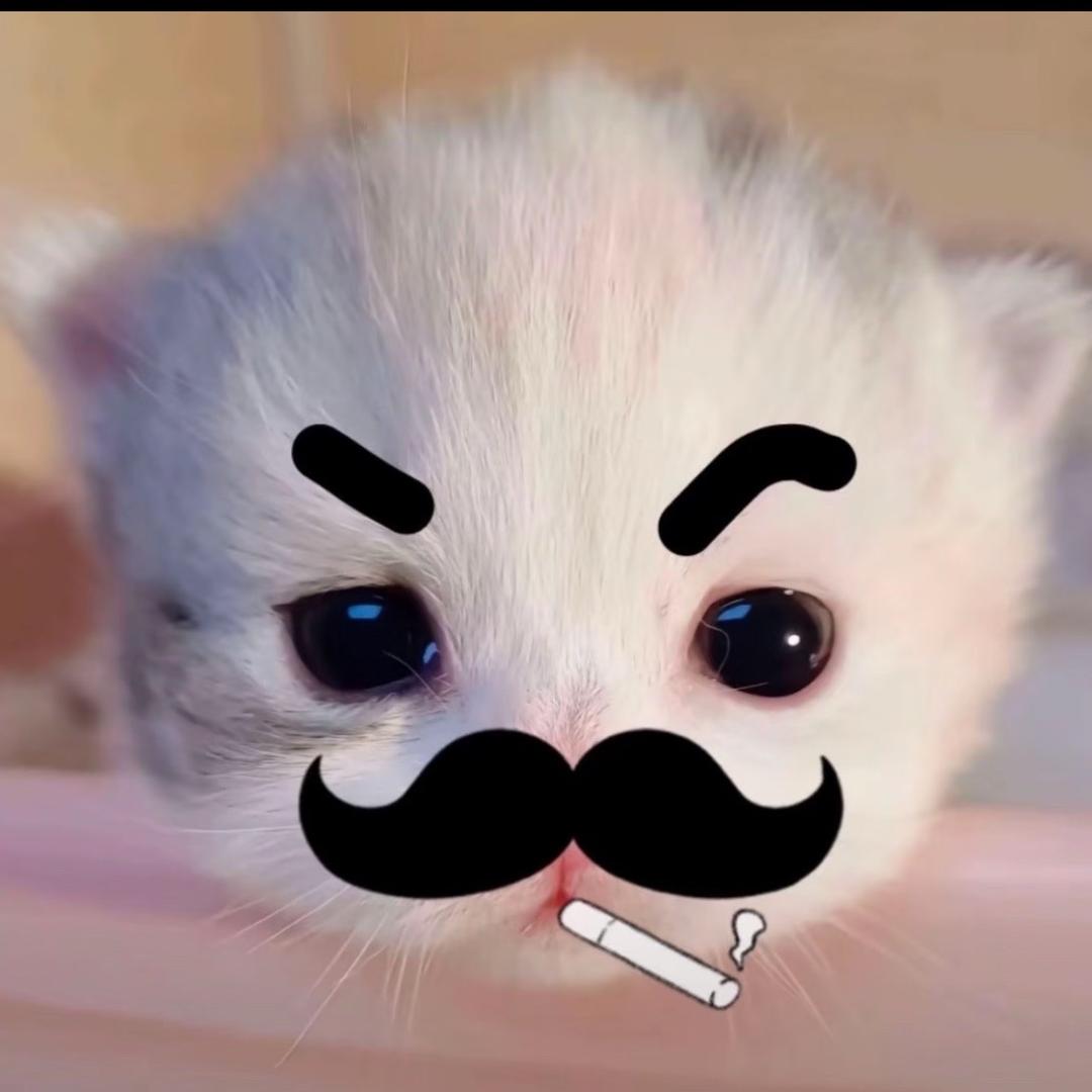 风中寄回的诀别书