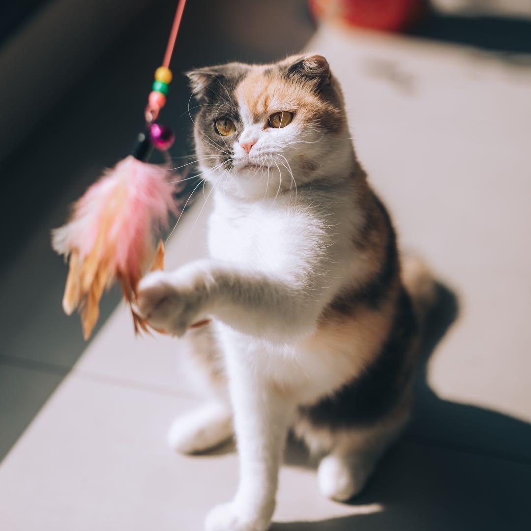 志明