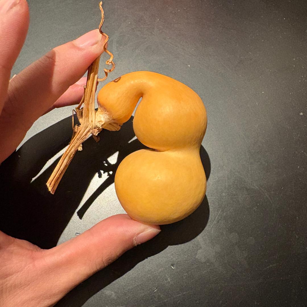 缘来葫芦。