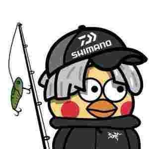鲷锂路亚🎣