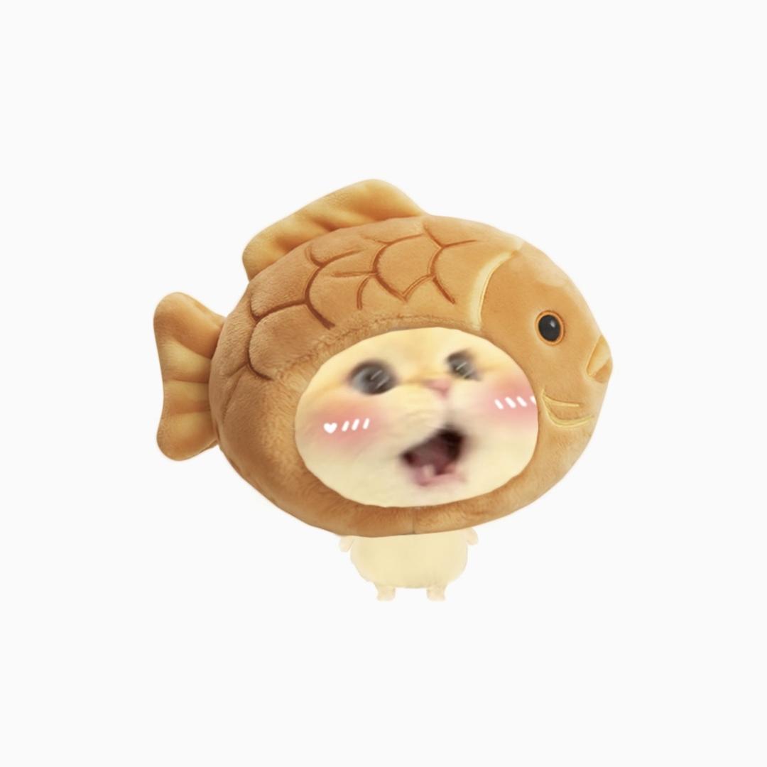 喵的朋友圈