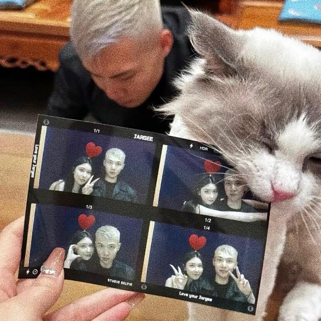 福鑫