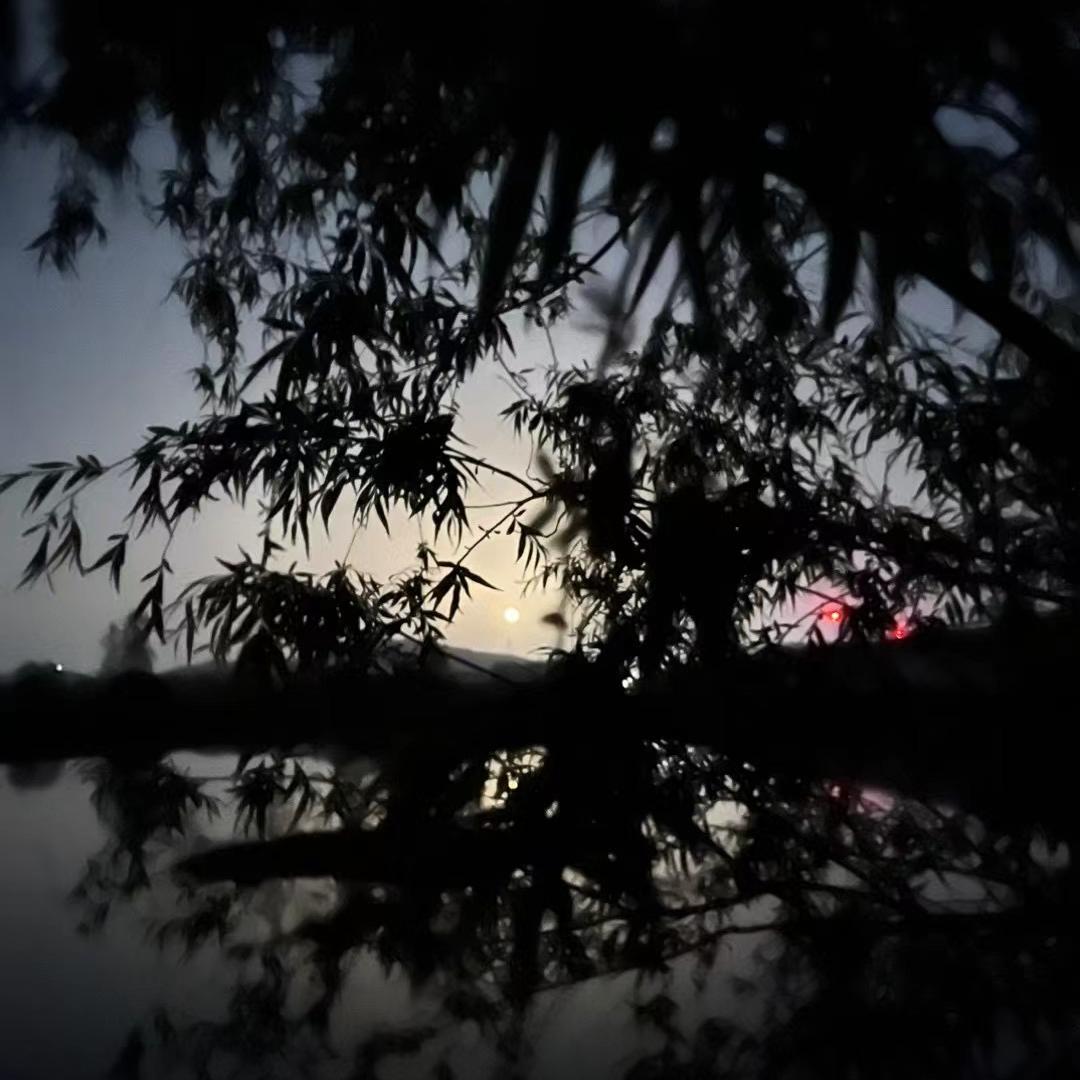 米乐供应链宠崇