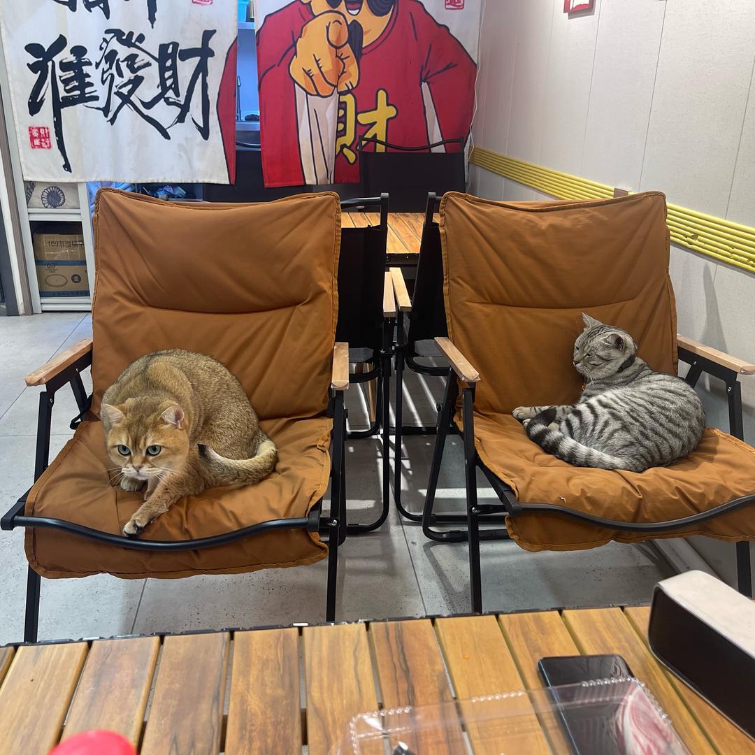 睡不醒的王招财和胆子小的王蹭蹭