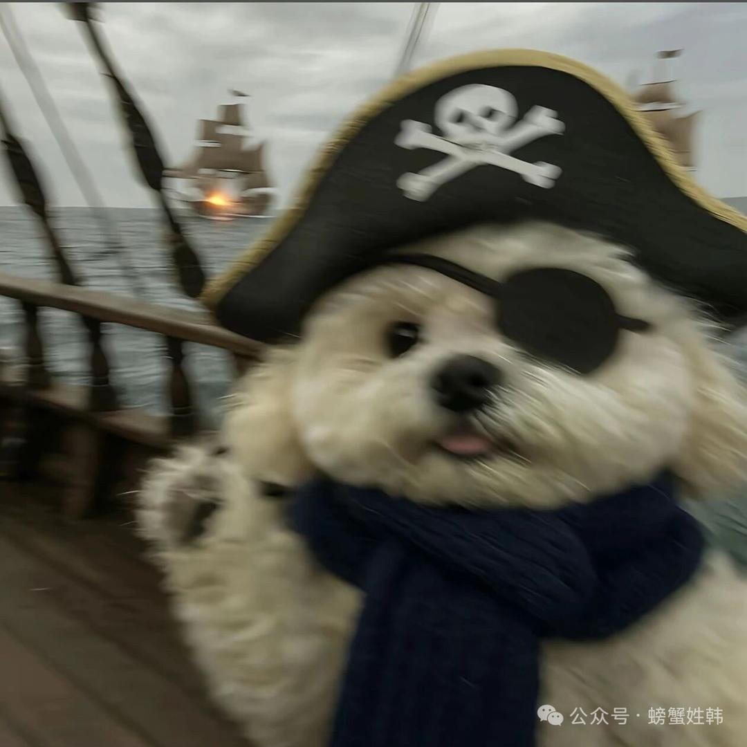 凯凯凯Shao