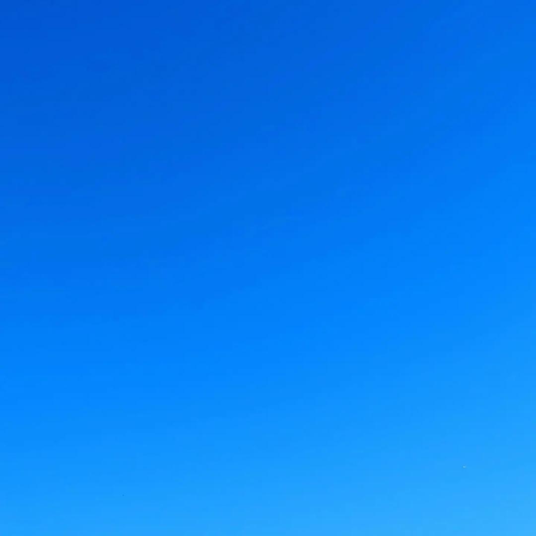 财务—王会计